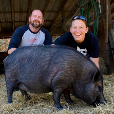600x439John_Duskie_Pig 600x439John_Duskie_Pig